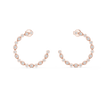 Gilded Orbit