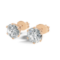 Solenia Crown Studs