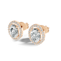Liora Oval Halo Studs